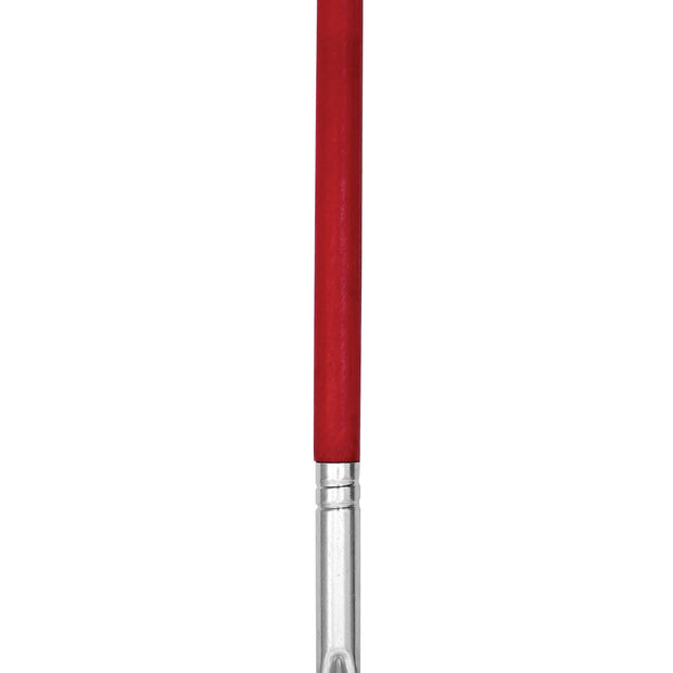 Windshield Squeegee for Car - 10" (25.4 cm)