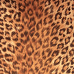 Cover for 30' (9 m) Hose of Central Vacuum Cleaner - Leopard - Pad-A-Vac