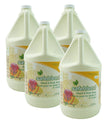 Hand and Body Soap - Mango Papaya - 1.06 gal (4 L) - Safeblend HLMP-G04 - Box of 4