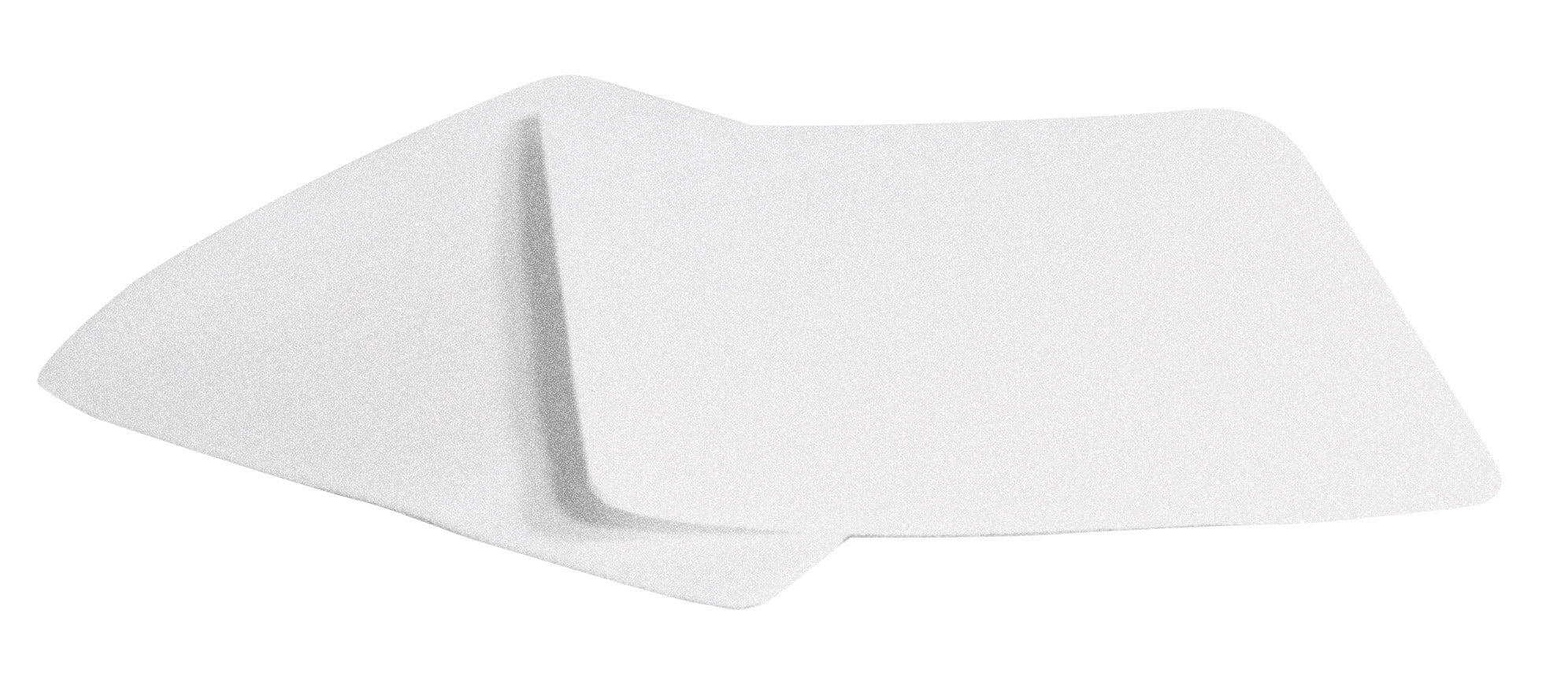 Felt Filter - Electrolux / Renaissance - Pack of 2 Filters