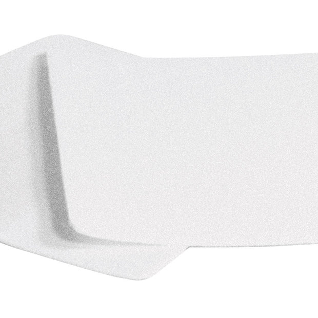 Felt Filter - Electrolux / Renaissance - Pack of 2 Filters