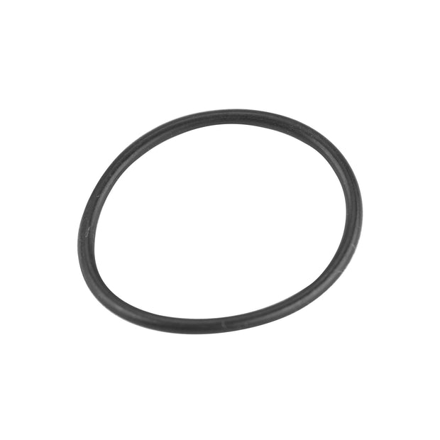 O" RING FOR SOTECO WAND