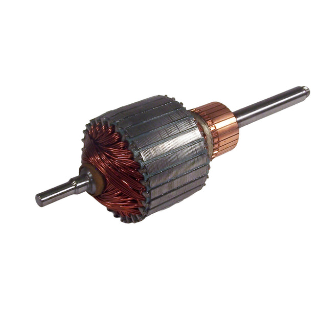 ***special order ARMATURE LAMB L116119 137 103 10MM
