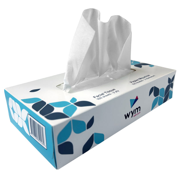 2-Ply Facial Tissues - Pack of 30 Boxes, 100 Tissues per Box